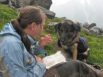 Hungry-hund.jpg