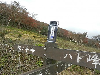 image.jpg