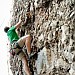 climbing