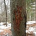 DSCN2410