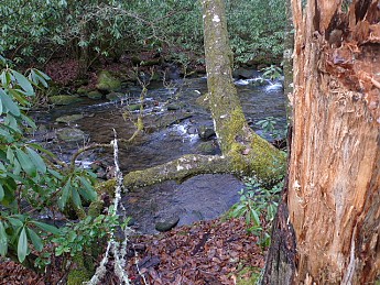 TRIP-116-425.jpg