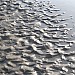 Ripples