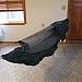 IMG_0357