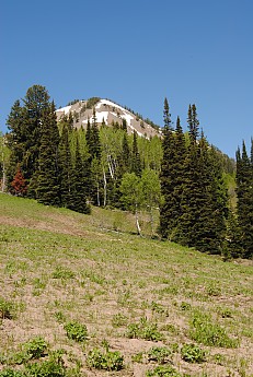 WYJULY11-016.jpg