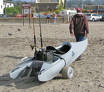raptor11.jpg