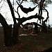 Set my hammock up here and couldn't believe how nice it was. Made for a great pic. Hanging around the campsite