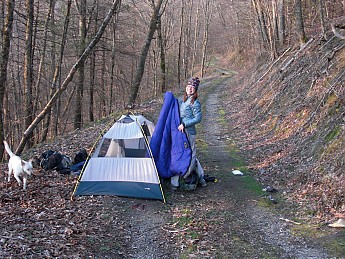Cold-Springs-Relocate.jpg