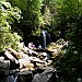 Grotto Falls, Great Smoky Mountains. Grotto Falls