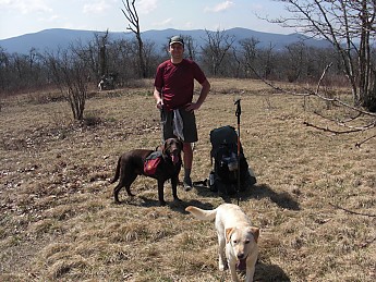 Bob-and-Dogs.jpg