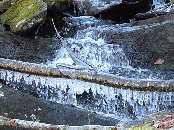 TRIP-116-292.jpg