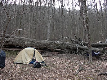 mill-site.jpg