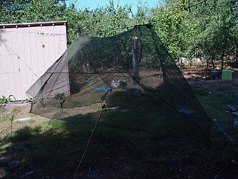 DSC04668.jpg