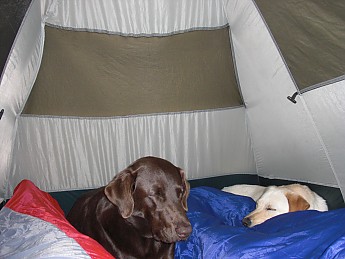 Cozy-Tent.jpg