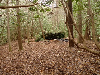 TRIP-116-475.jpg
