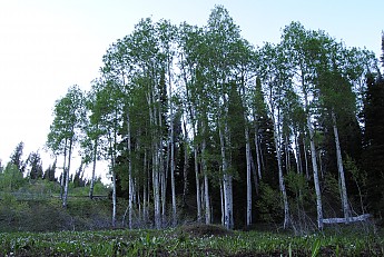 WYJULY11-034.jpg