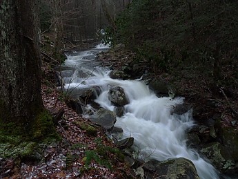 TRIP-116-486.jpg