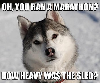 Dog-sled-Marathon.jpg
