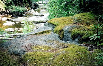 61-10-smaller-moss-rock.jpg