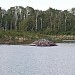 2012-06-02 19.11.42