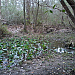 Bubbling spring on the Tuxachanie