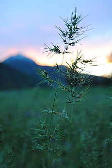 WYJULY11-074.jpg