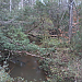 Another pic from a deadfall crossing