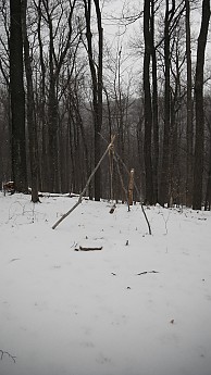 Feb-2012-LHHT-011.jpg