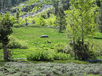rae-lakes-loop-009.jpg