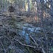 DSC01635