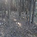 DSC01668