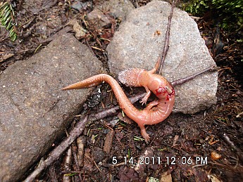 Spring-Trip-3-2011-093.jpg