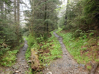 Spring-Trip-3-2011-111.jpg