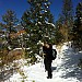Snowey Trail