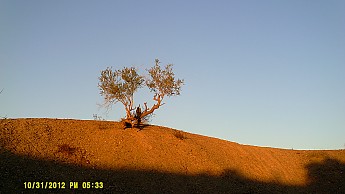 image.jpg