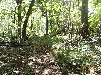 Summer-9-2011-079.jpg