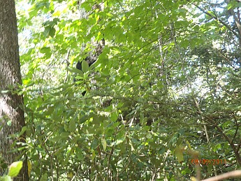 Summer-9-2011-080.jpg