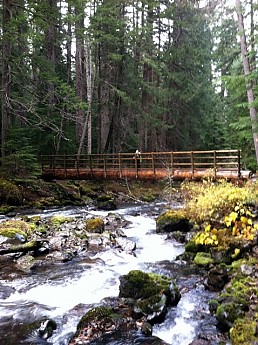 IMG_1084.jpg
