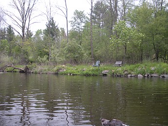 DSCN2405.jpg