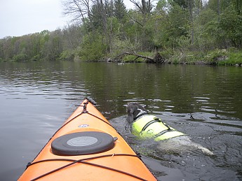 DSCN2406.jpg