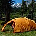 Marmot Down Low
