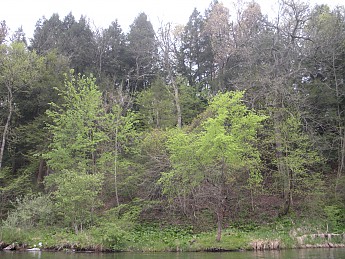 DSCN2426.jpg