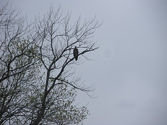 DSCN2428.jpg