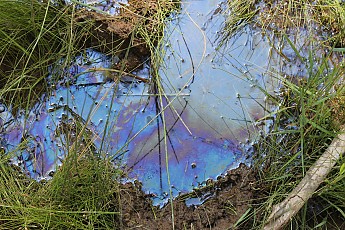 Natural-oil-in-the-water-of-the-stream.j