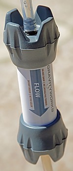 Platy08.jpg