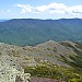 Mt Madison - Osgood Trail