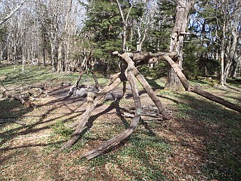 Grayson-Highlands-1-2012-023.jpg