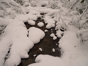 TRIP-117-223.jpg