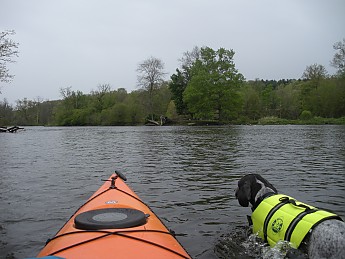 DSCN2430.jpg
