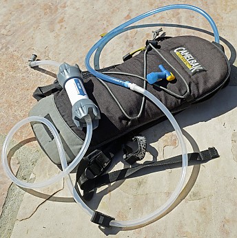Platy12.jpg