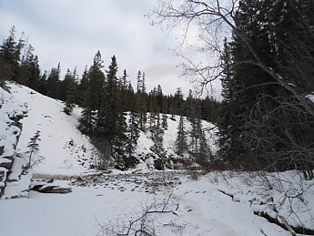 DSC00262.jpg